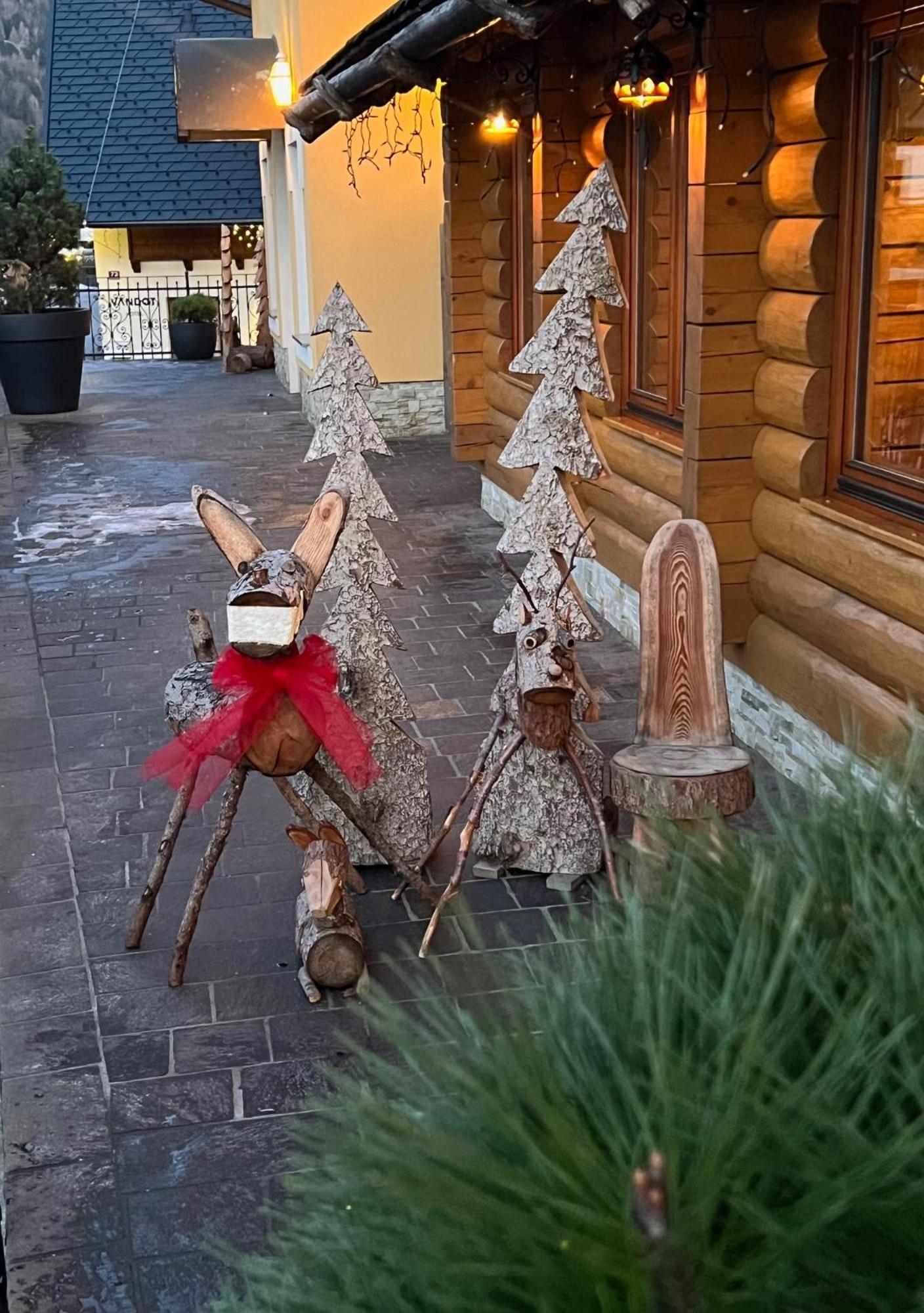 Kotnik Superior Boutique Hotel Kranjska Gora Εξωτερικό φωτογραφία